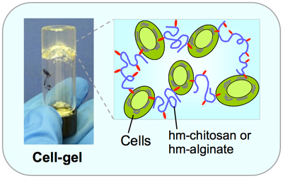 Cell Gel Illustration